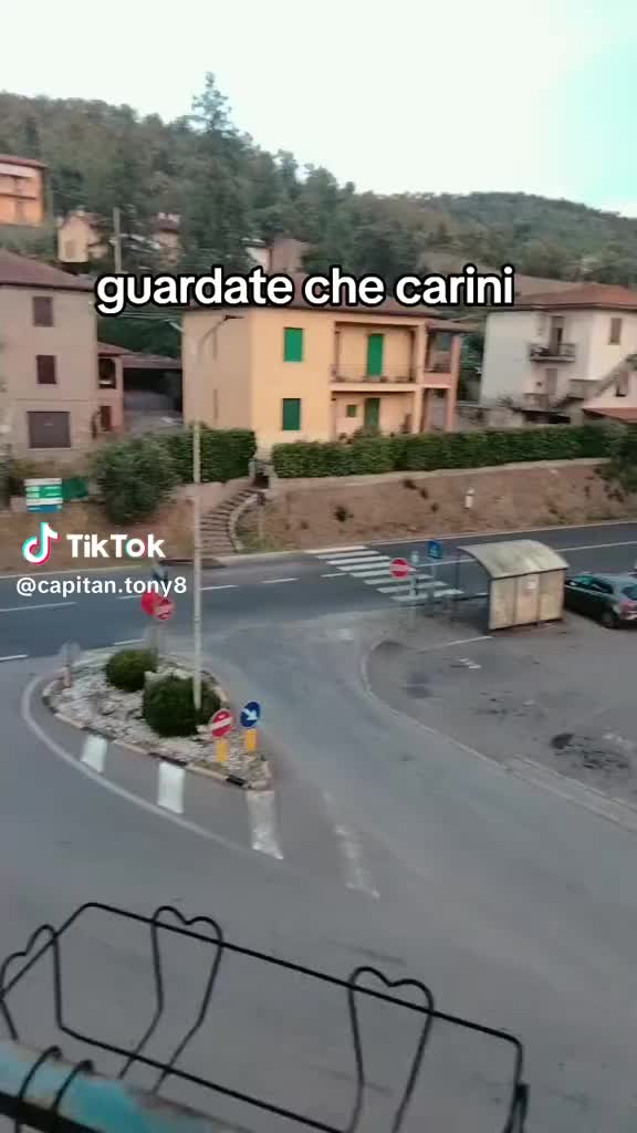 @Catanese29🐘❤️🩵