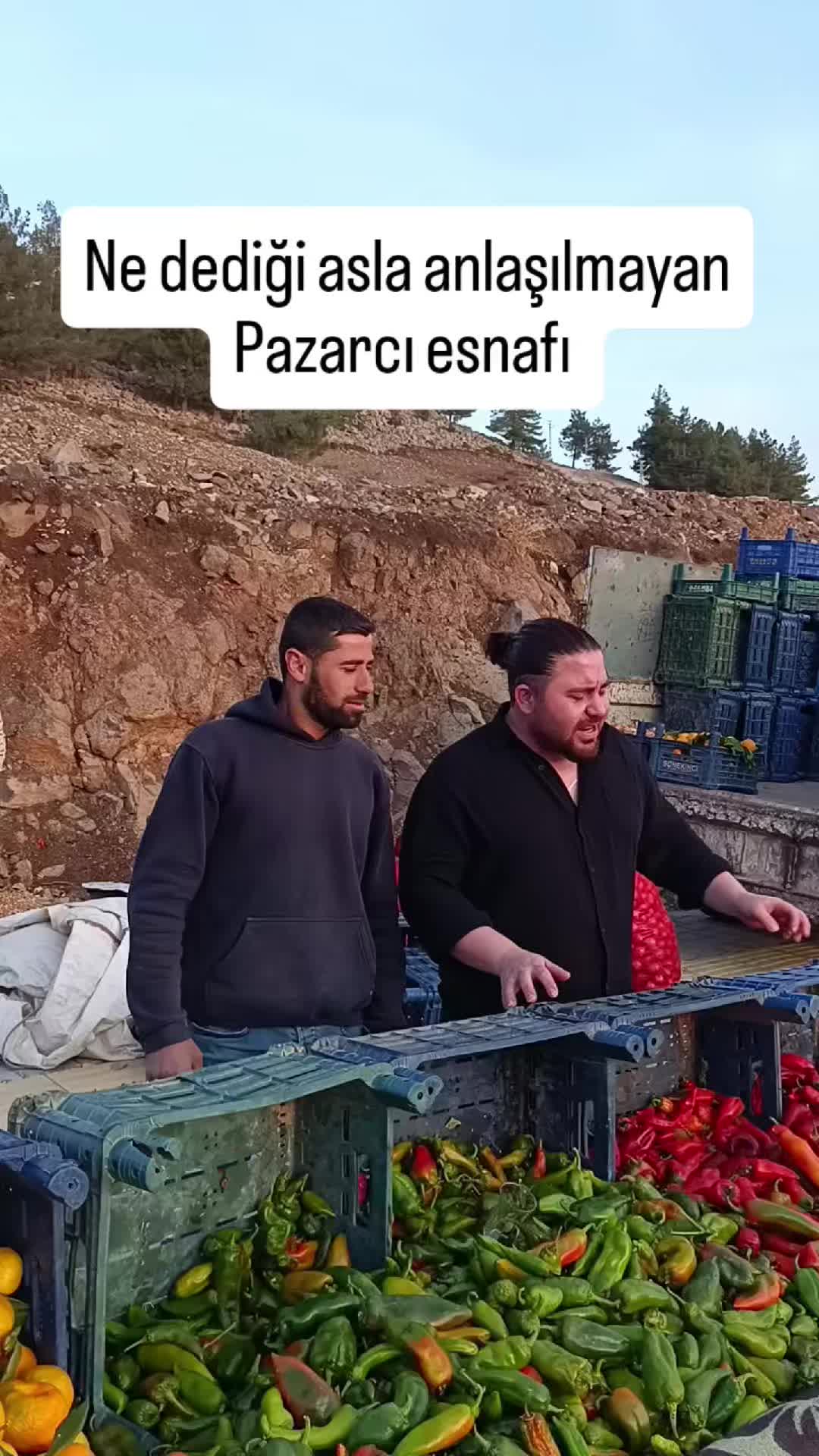 @anilkaraylan