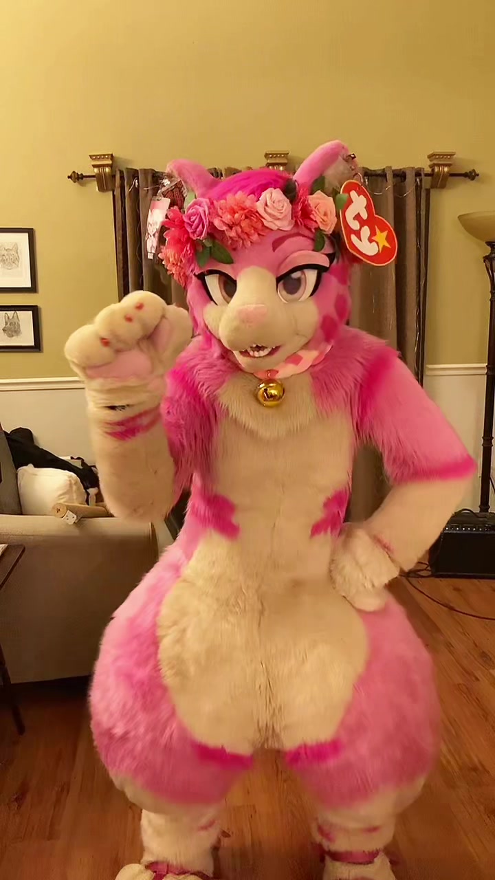 @AGayPinkCat