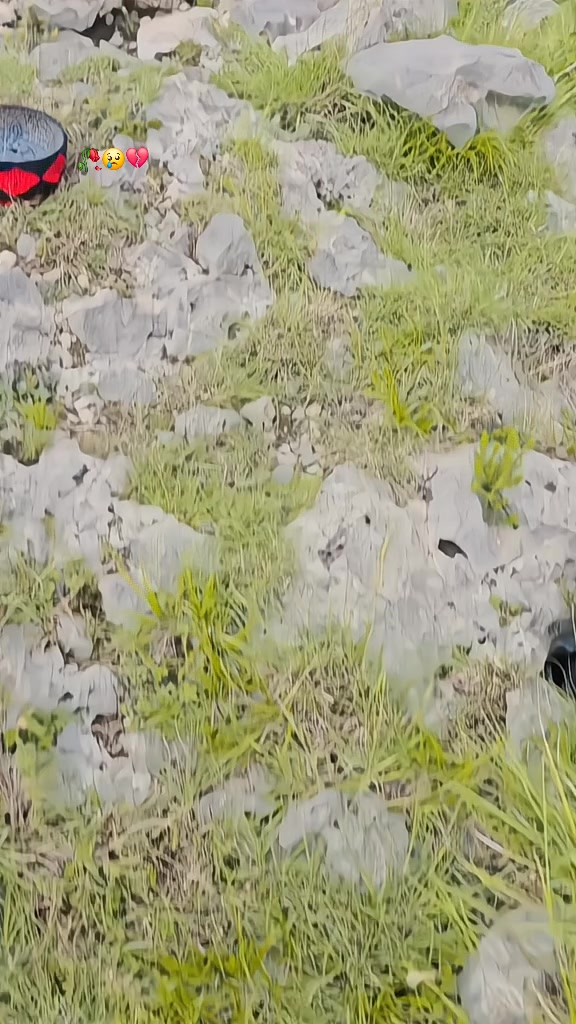 @NAIMAT ORAKZAI