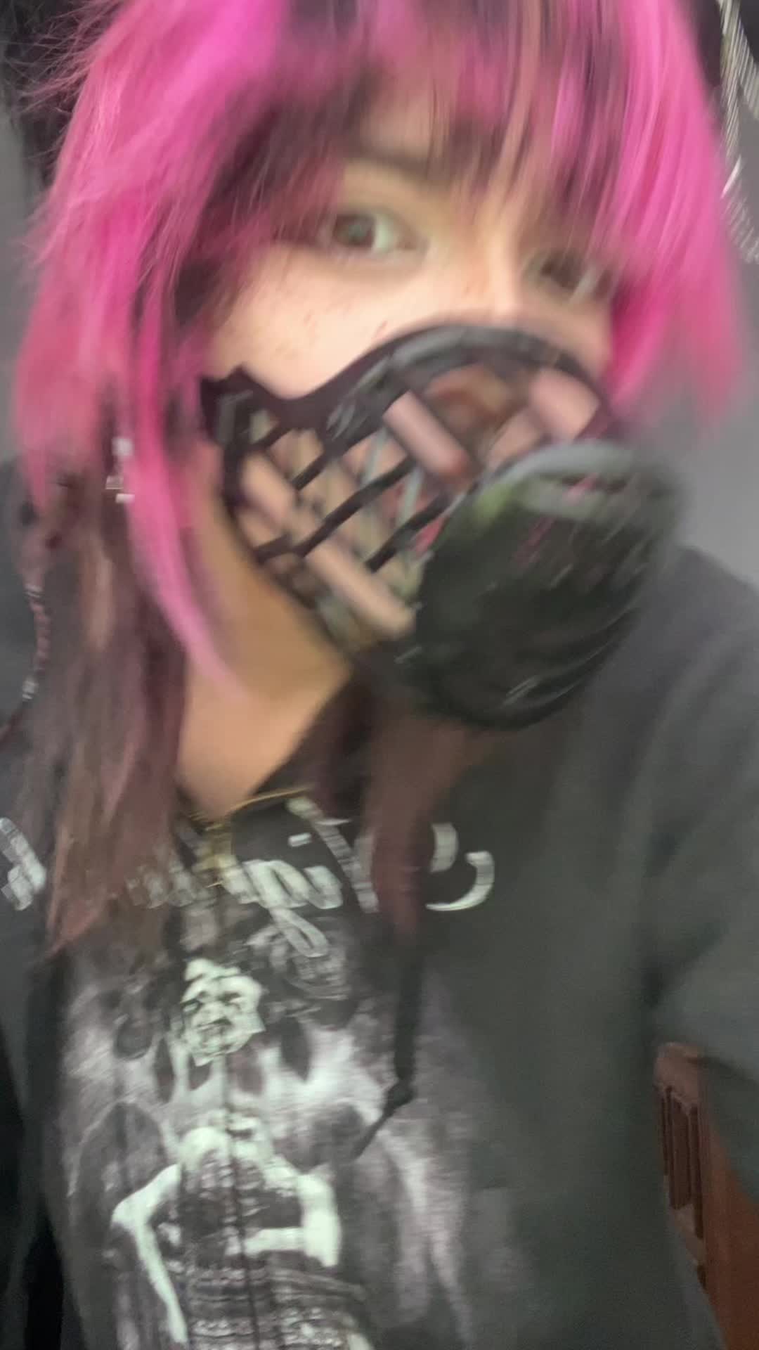 @raccoon_diaries