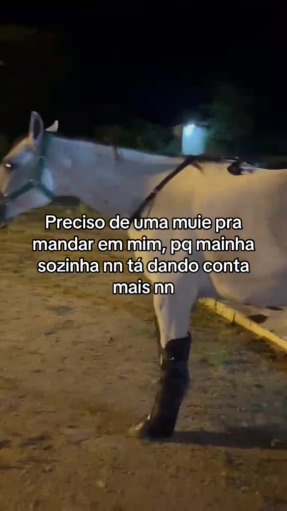 @arthur.gualberto1