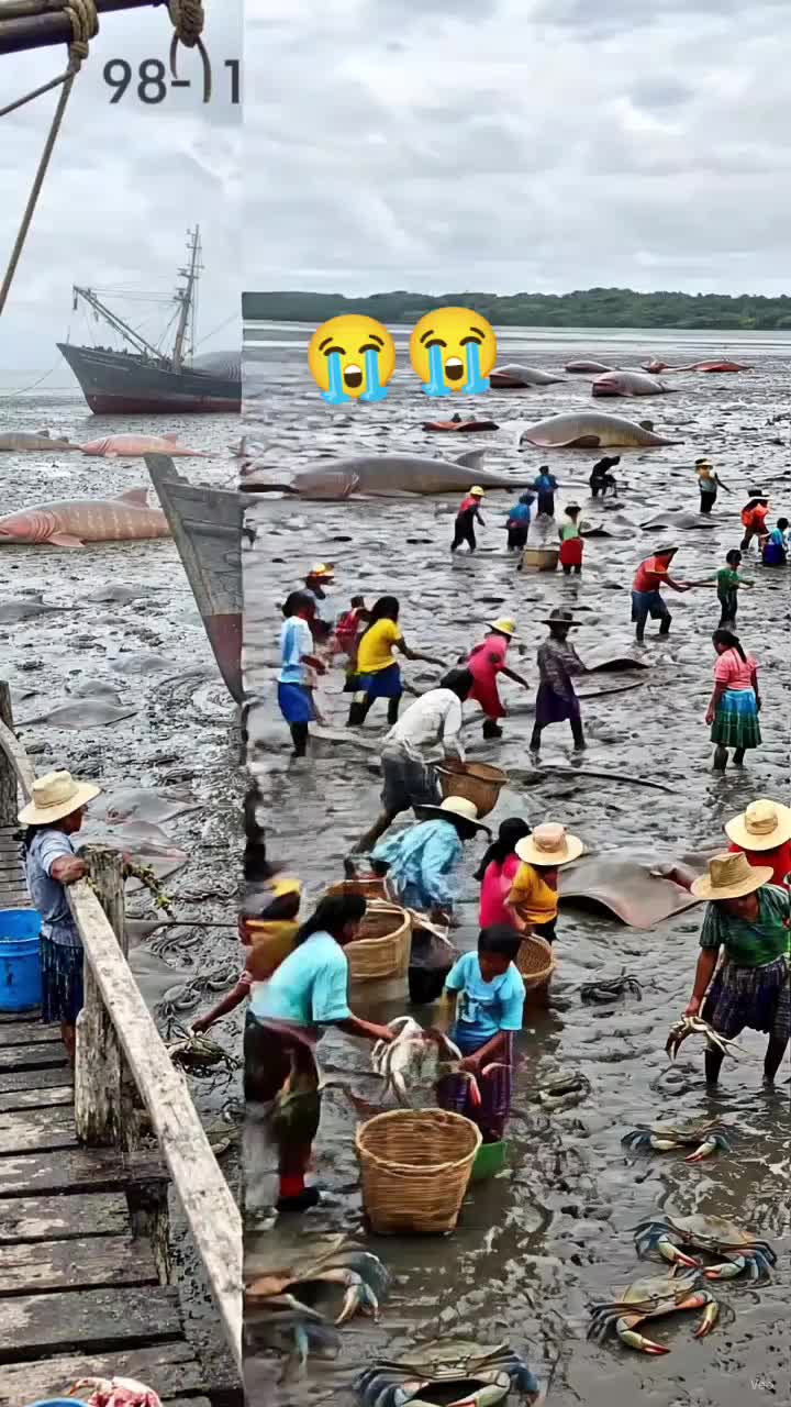 @Aqarbinsaudar