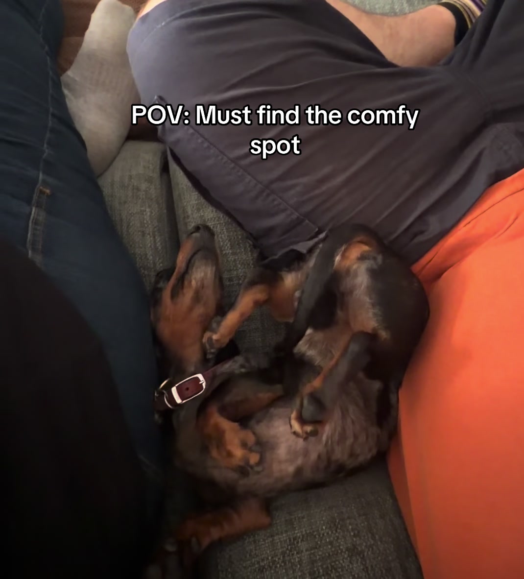 @dibblydobbly_dax