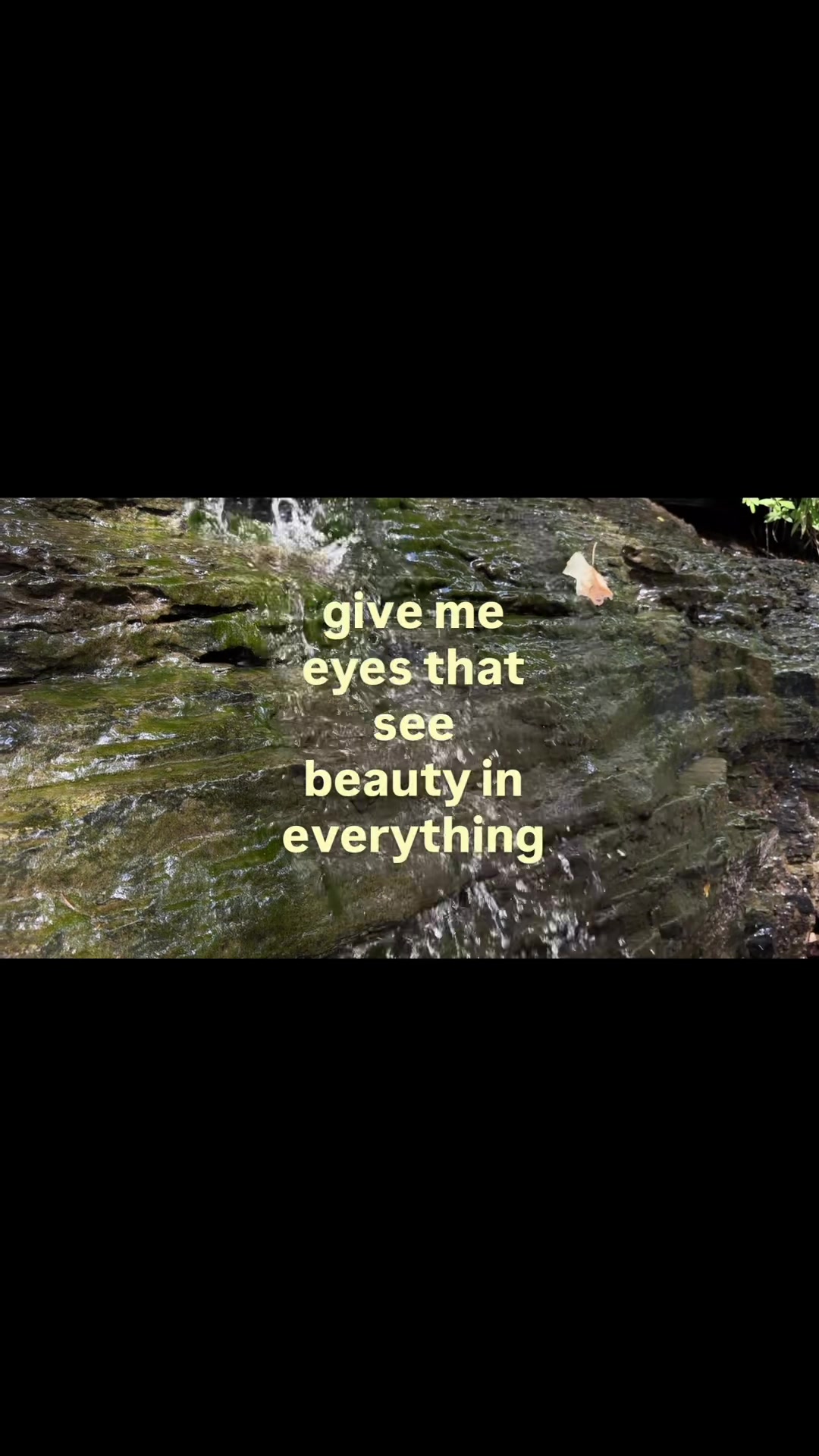 @Chloe Chastain