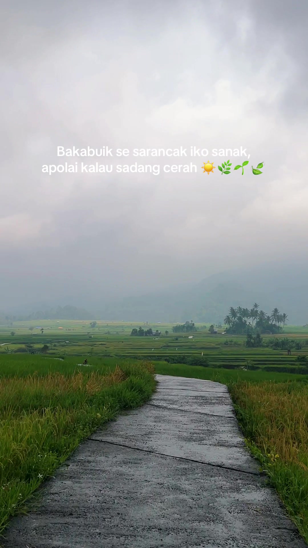 @Raun Sabalik