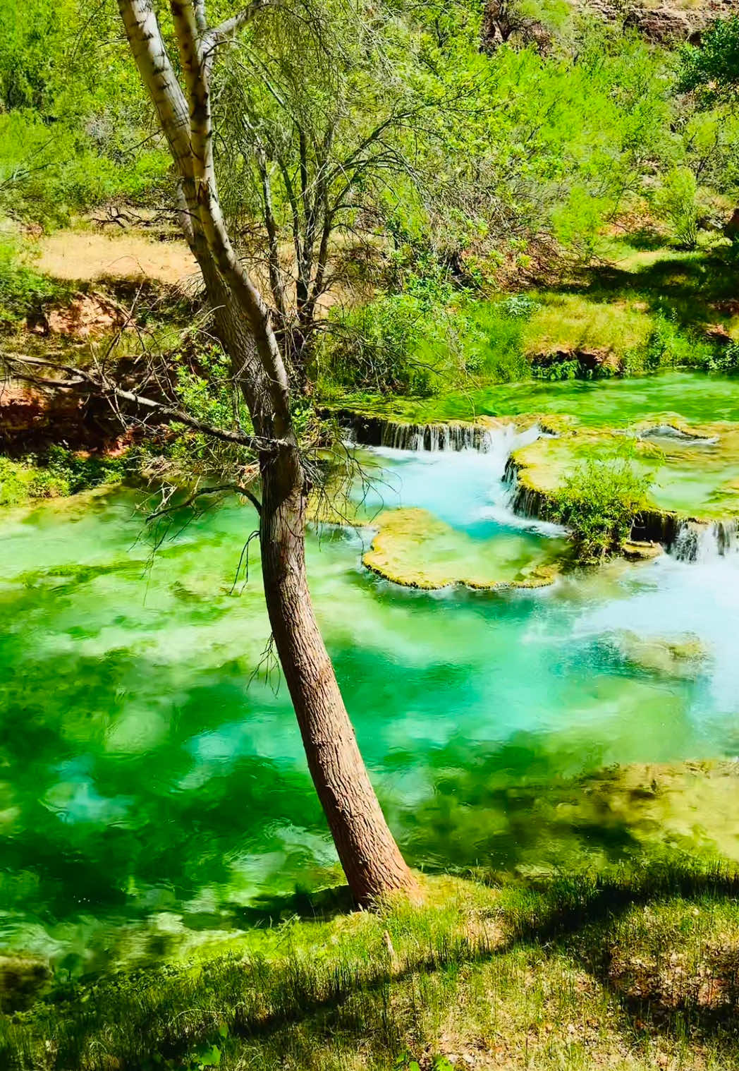 @Hue Vang (HEM NYUJ)