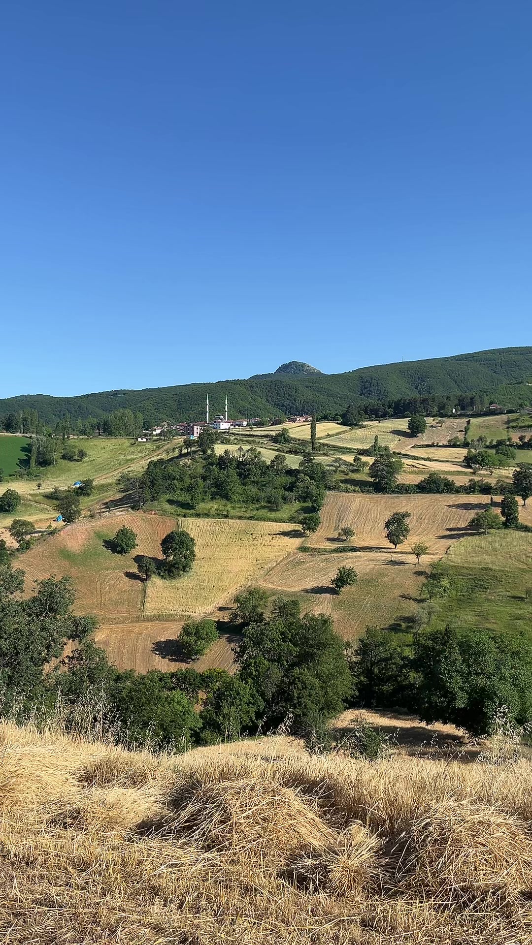 @Murat Çatal