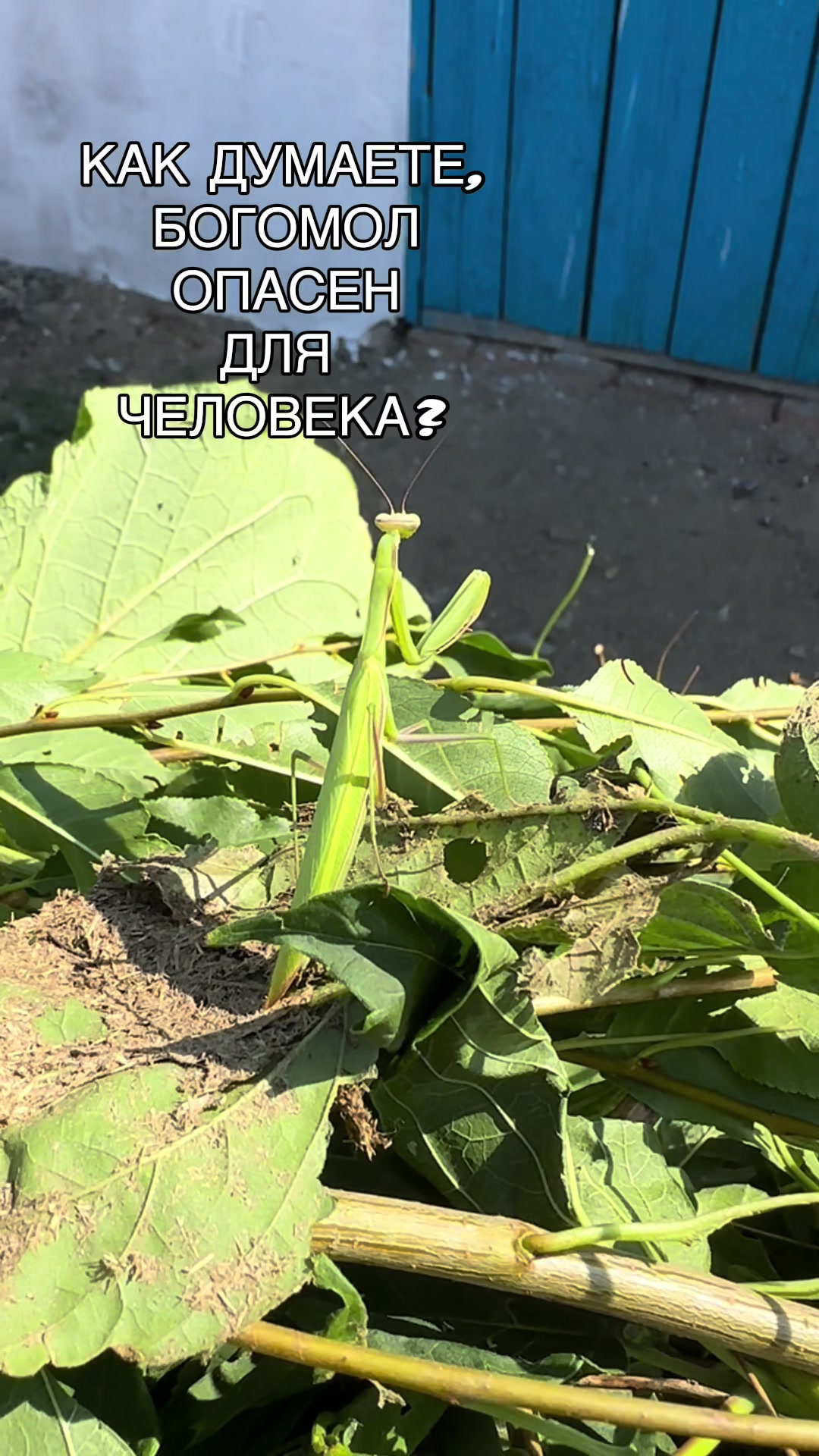 @Олеся Шарипова Ловская🇰🇿