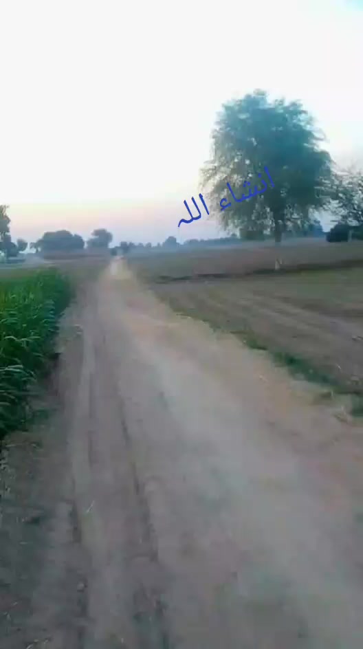@گھمن صاحب