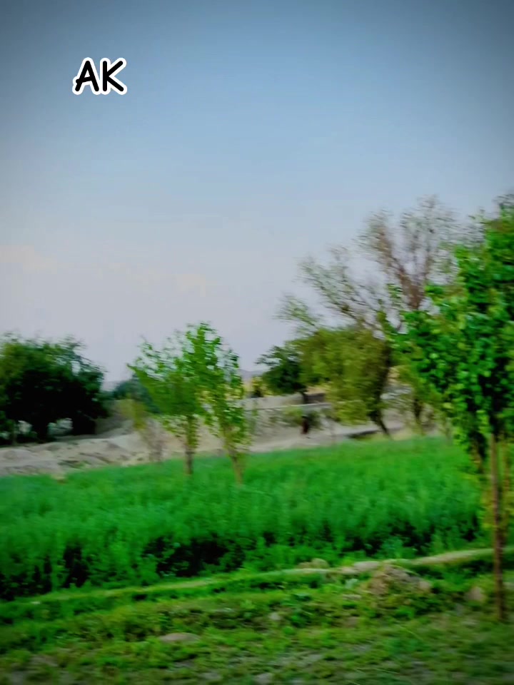@ᗩᗰᗴᗴᖇ༒KᕼᗩᖇOTI