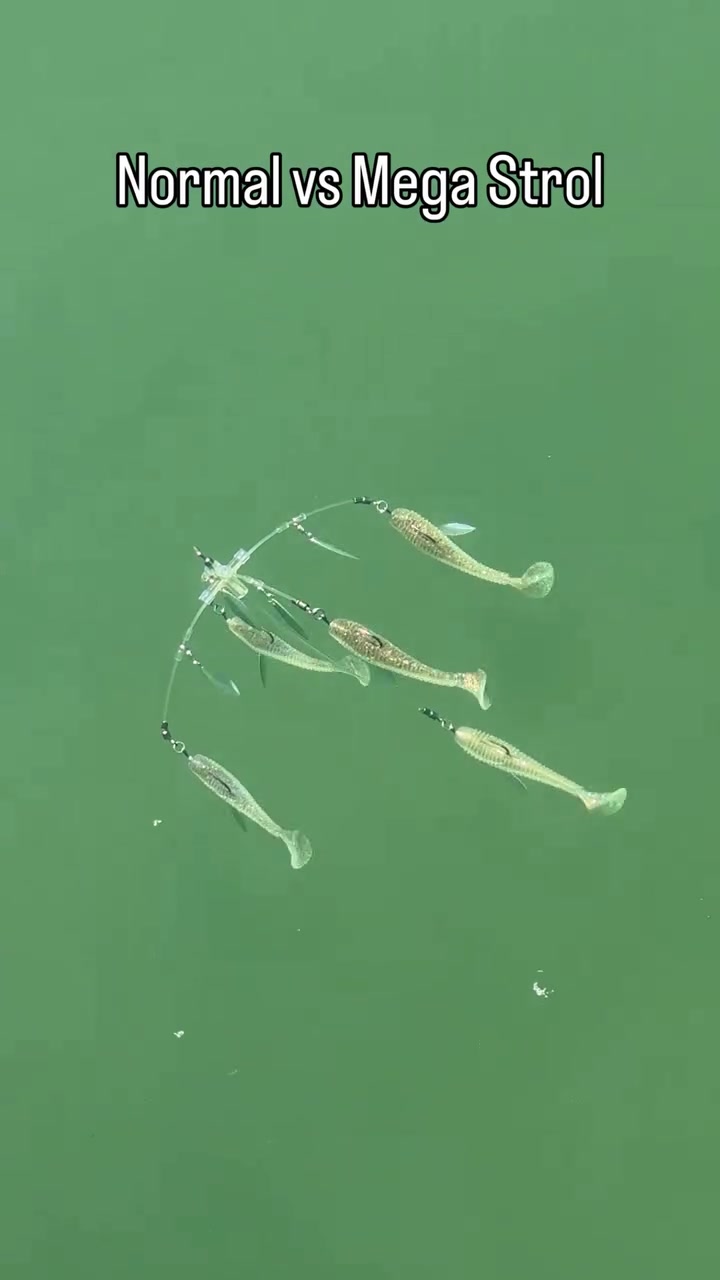 @Sergey Champion Fisherman