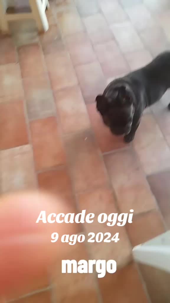 @titty margo lucrezia