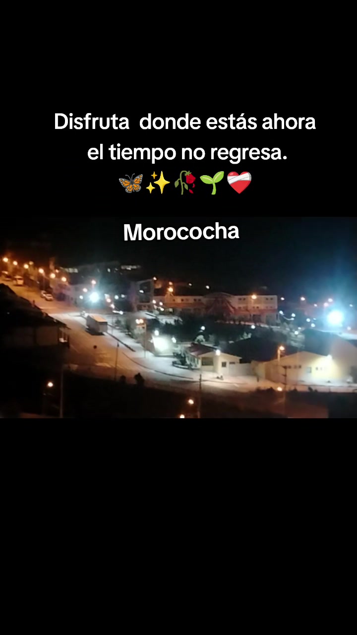 @E😎 Palomino🫶