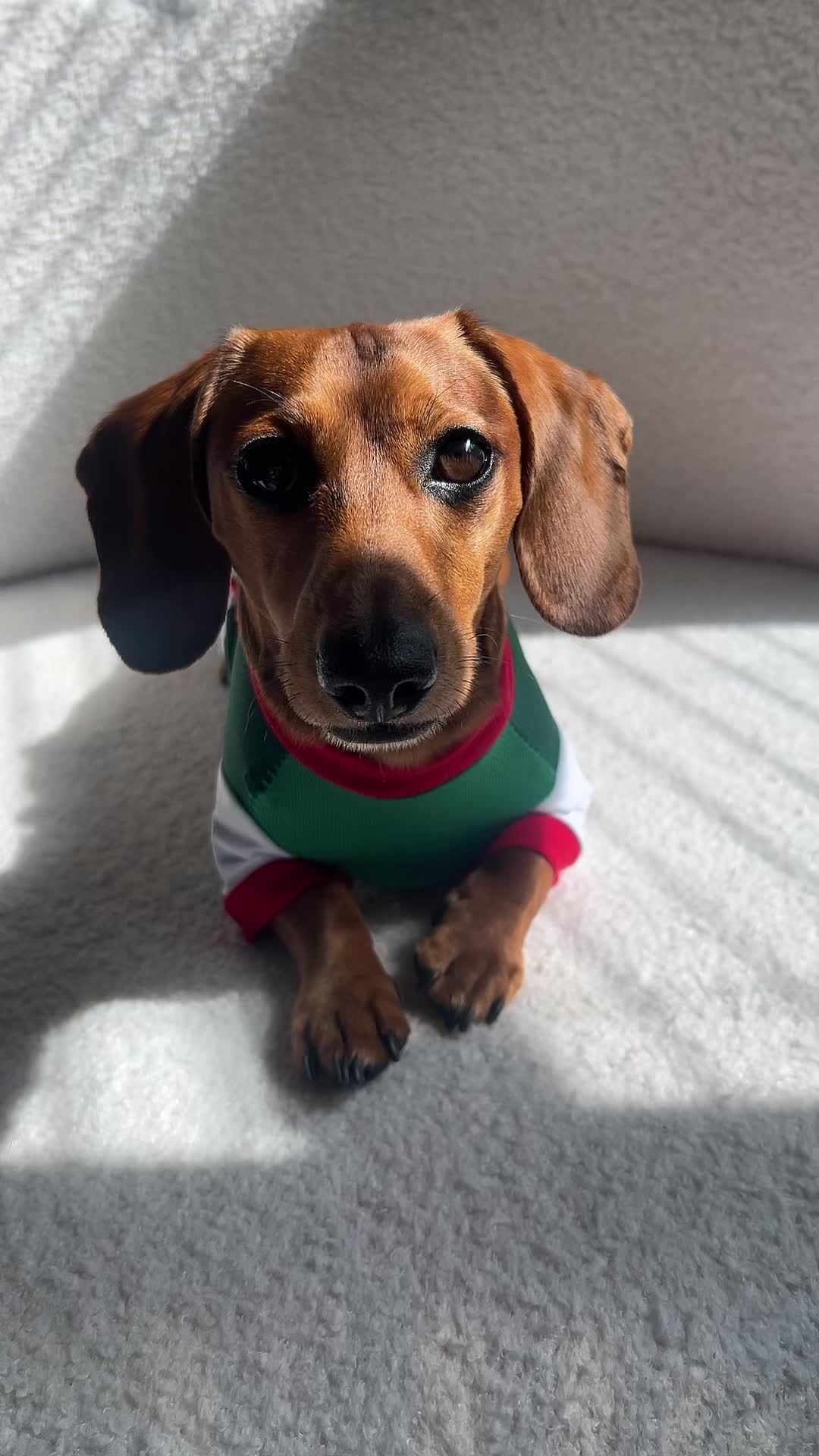@Slinky Severus-Doo