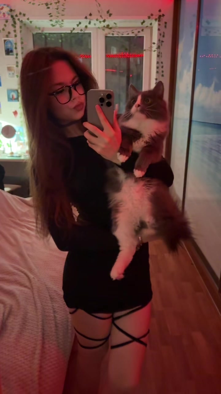 @кошка