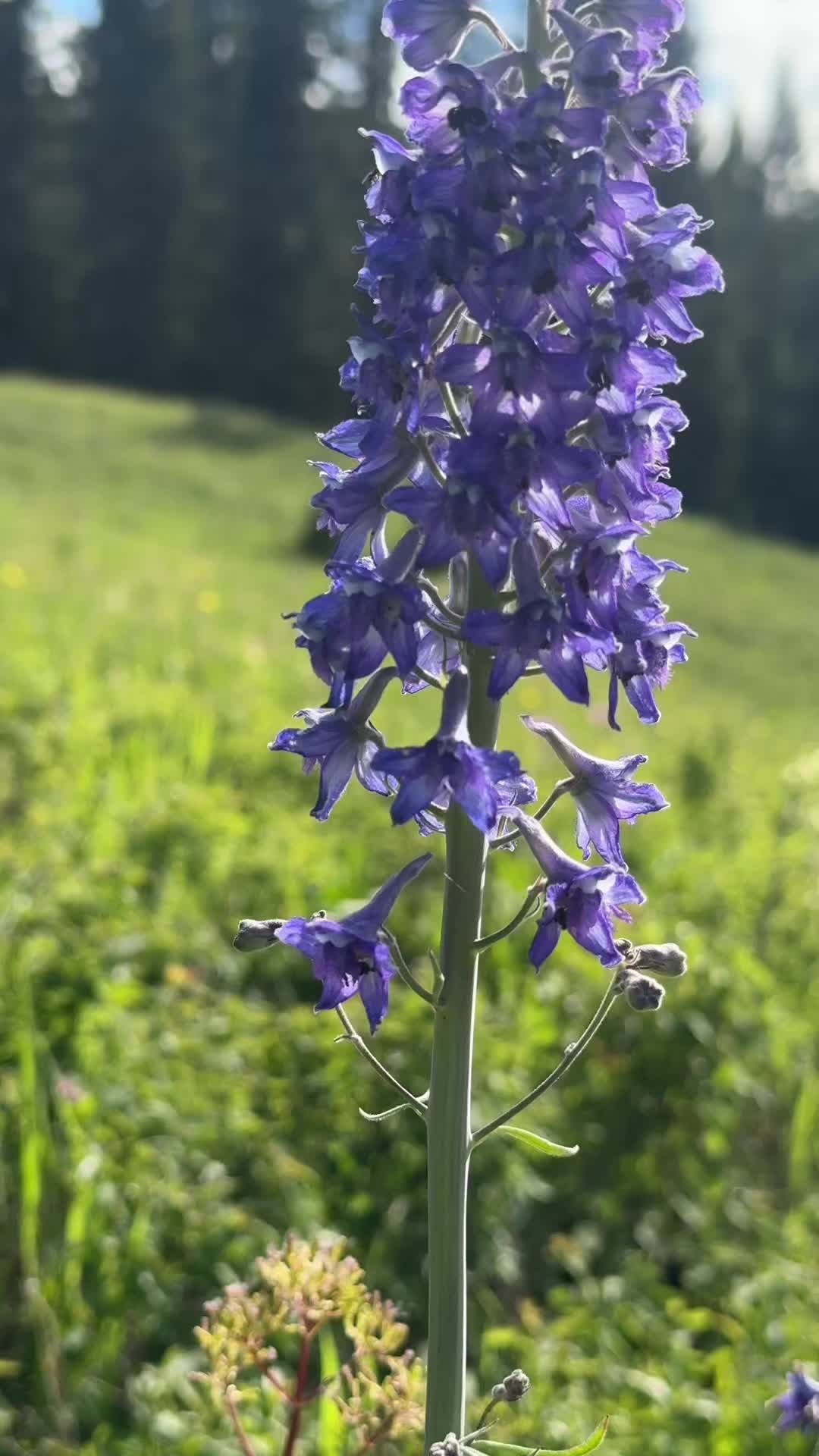 @VisitBigSky