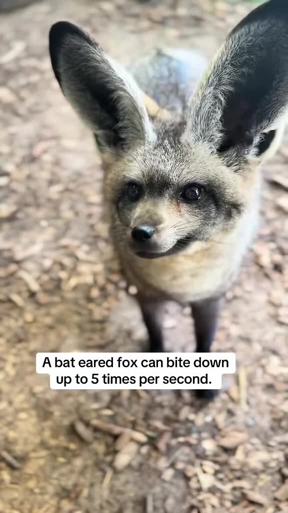 @TanganyikaWildlifePark