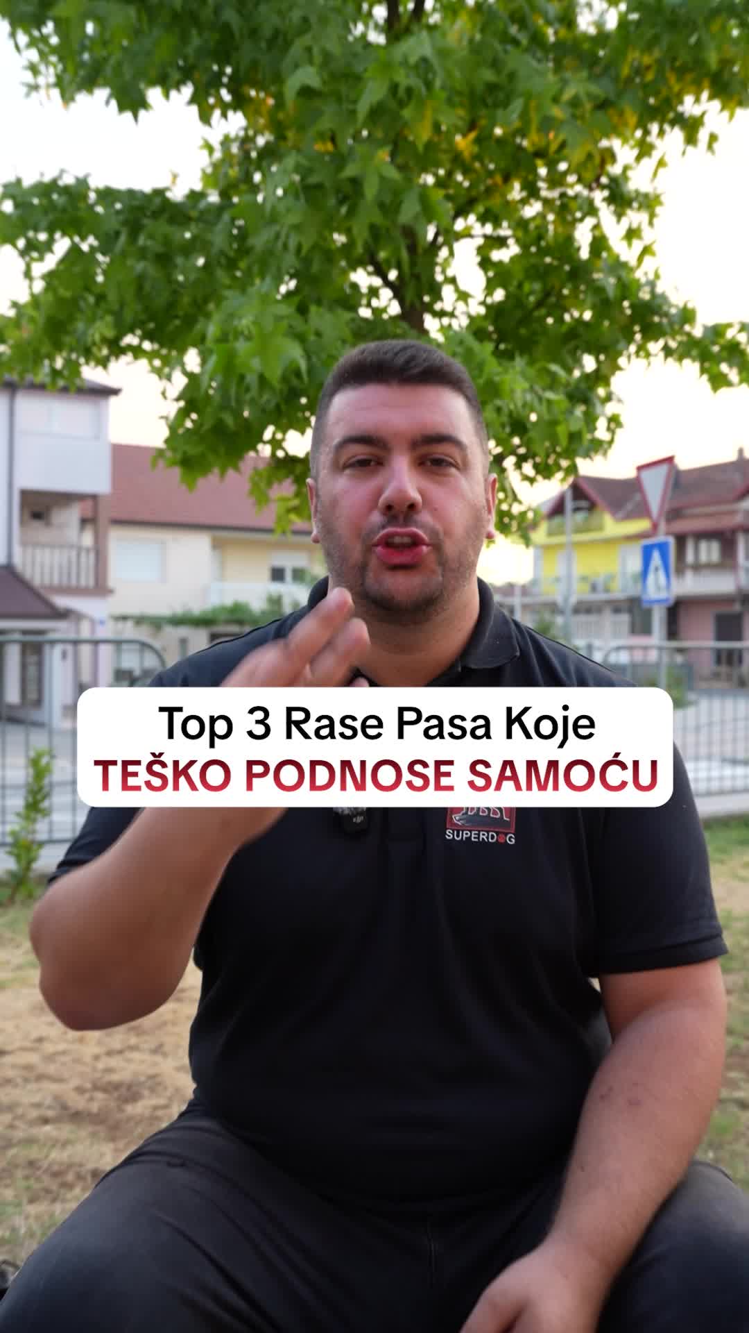 @superdog.akademija