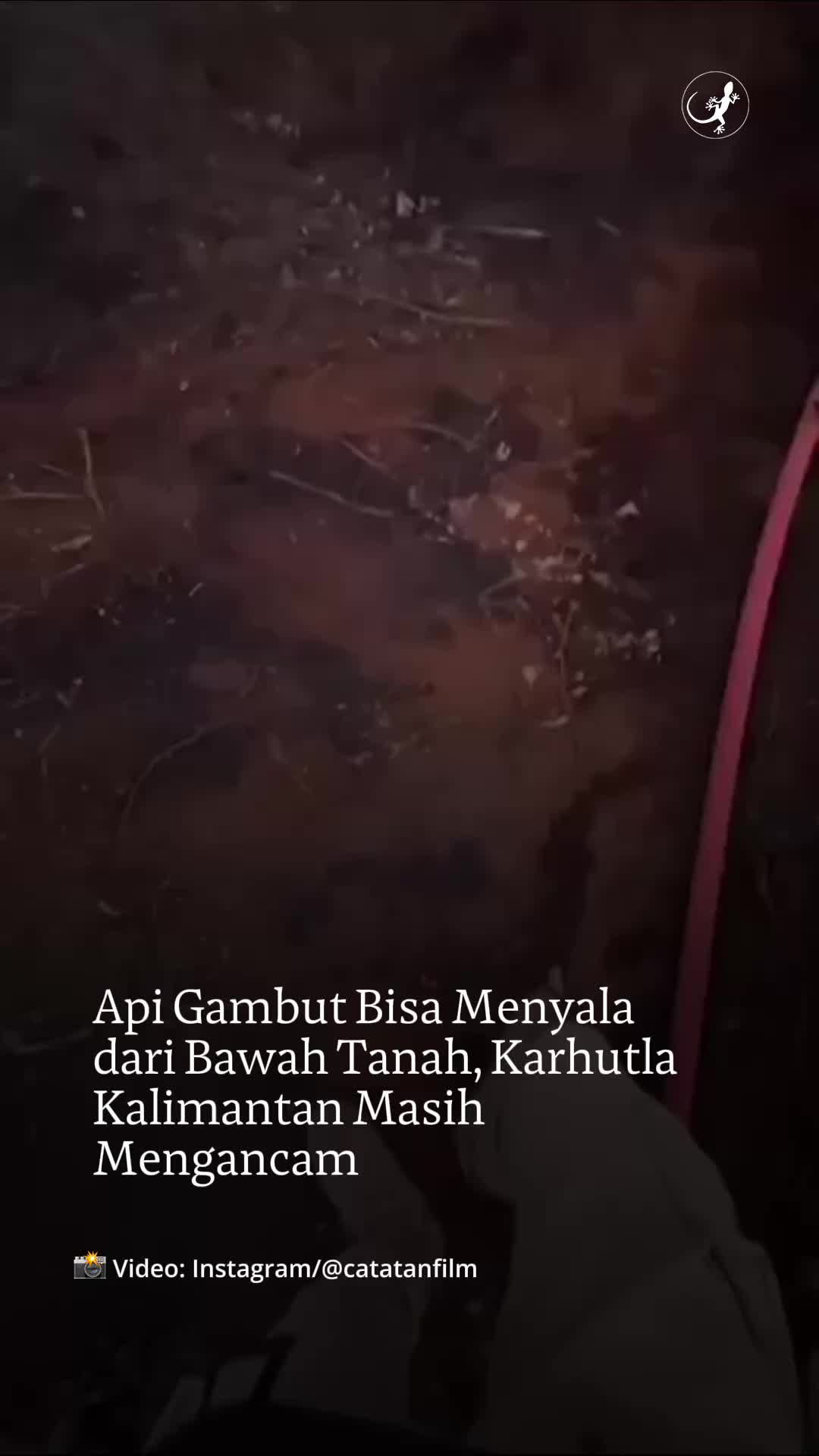 @mongabayindonesia