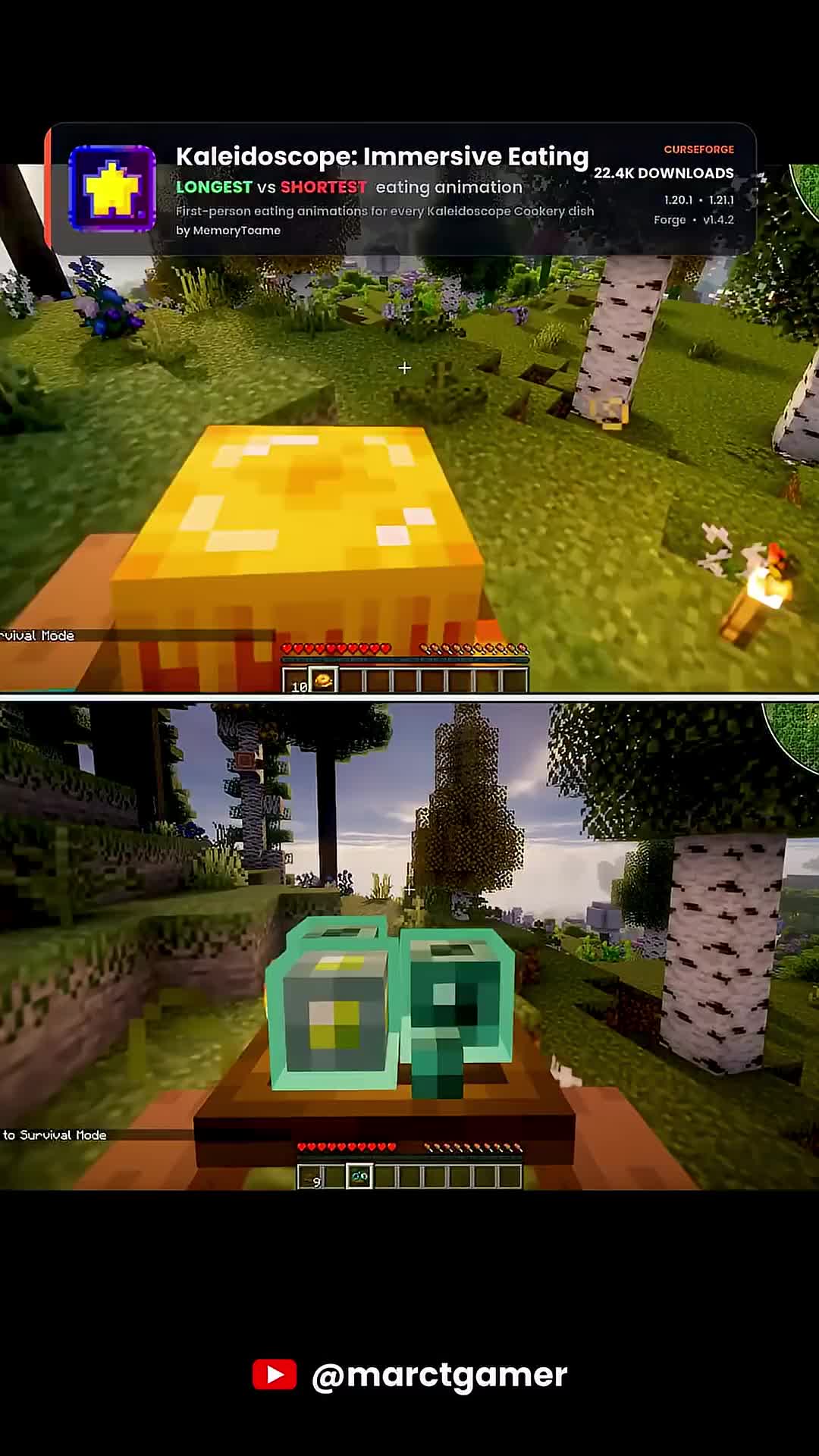 @marctgamer