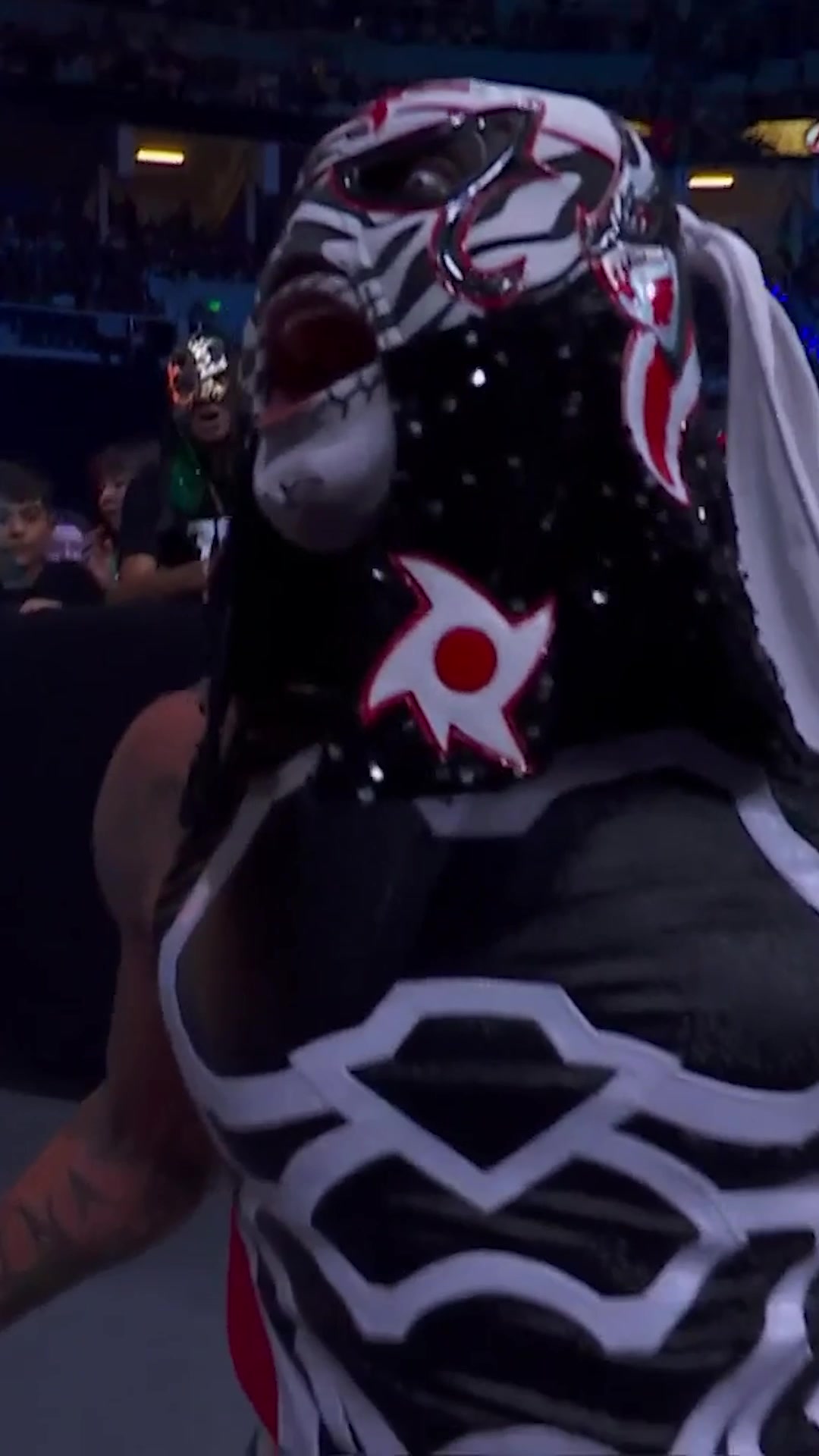 @Lucha Libre AAA