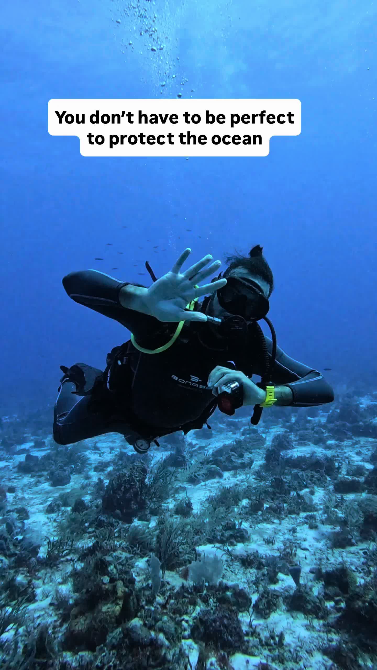 @The Dive Compass