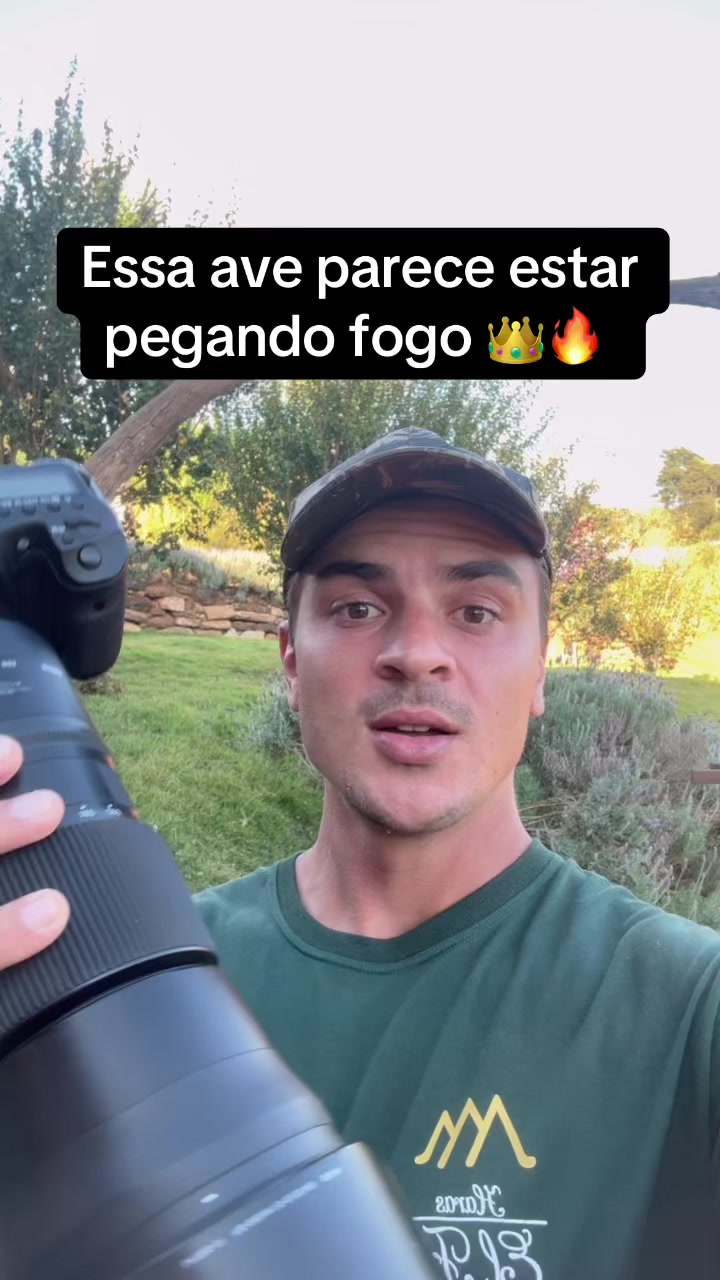 @Vin&iacute;cius K&ouml;hn P&aacute;ssaros
