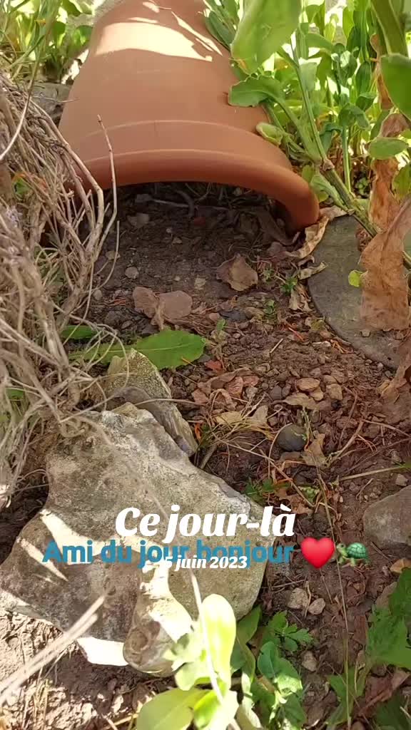 @VirGinie 27✌️💕