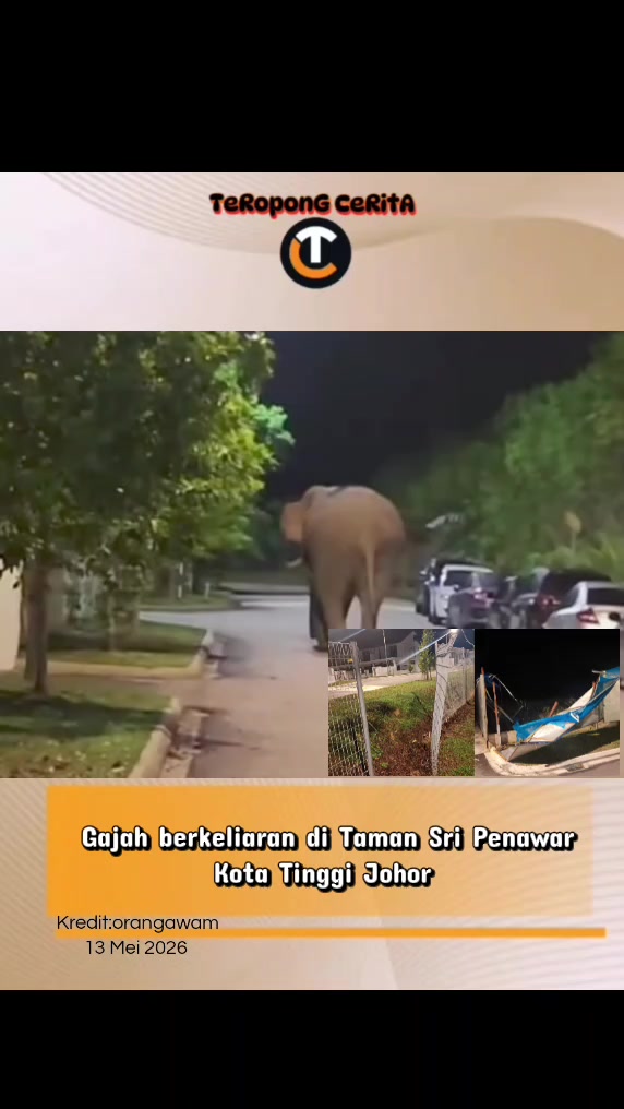 @TeRoponG CeRitA