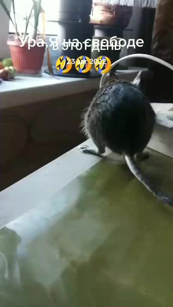 @Юрик
