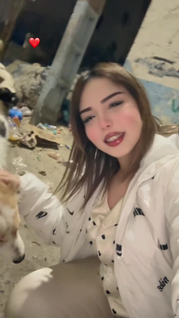 @🦌