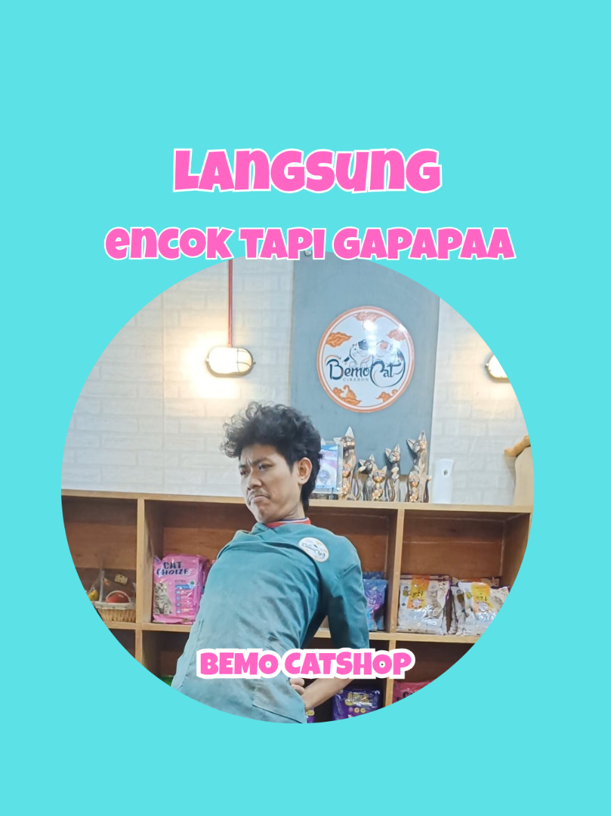 @Bemo Catshop
