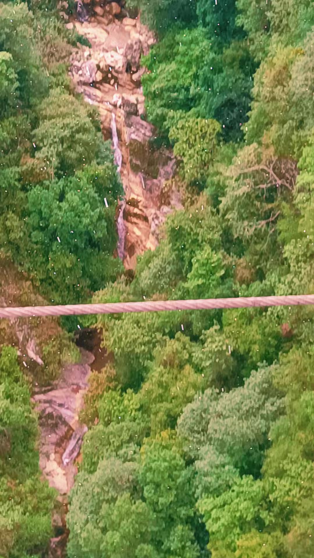 @अजय यादव