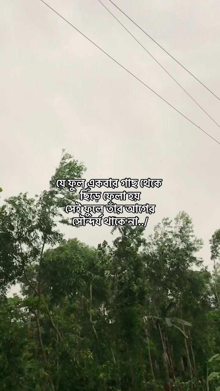 @offline❤️🩹