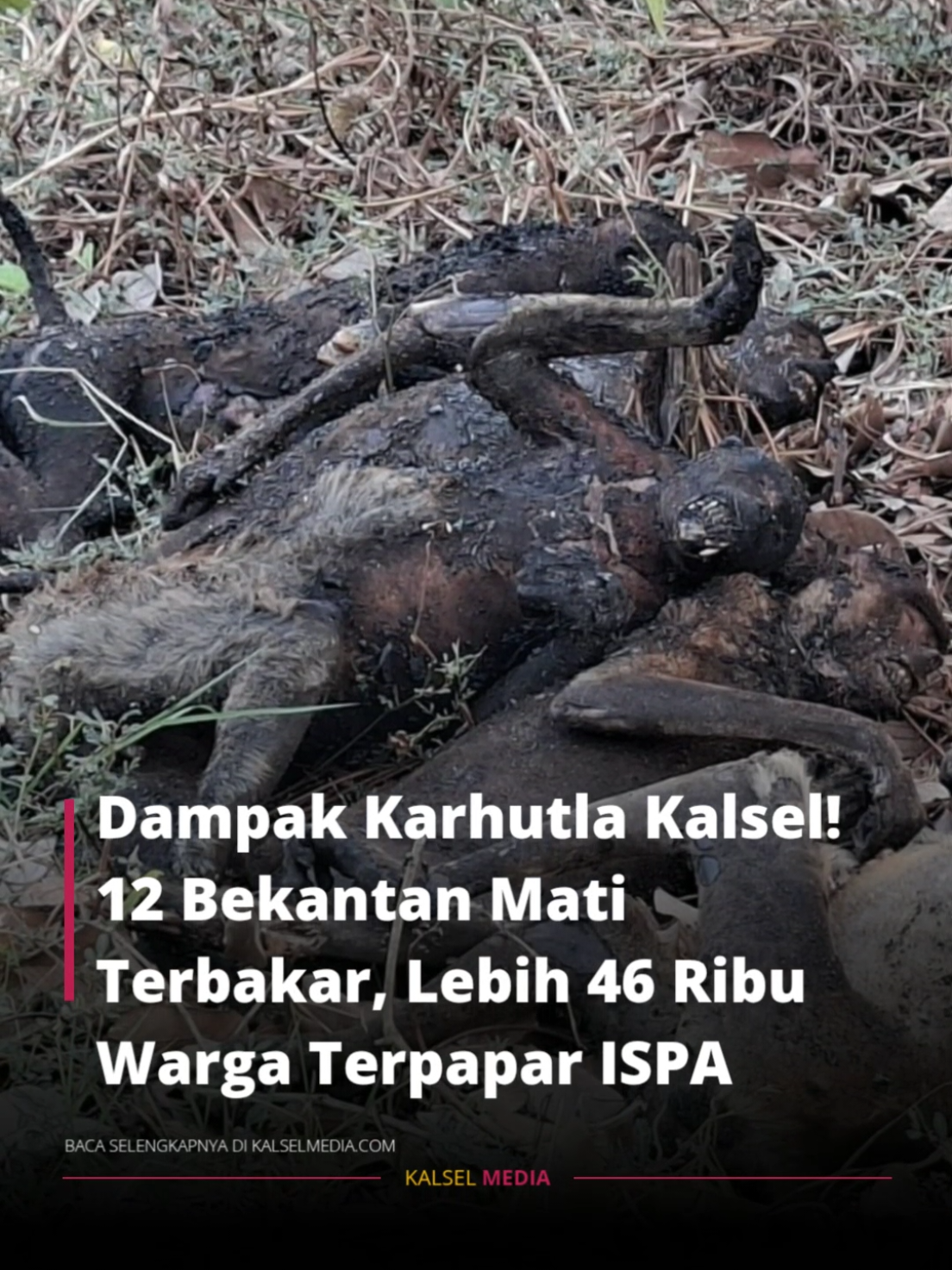@Netizen Kalimantan Selatan