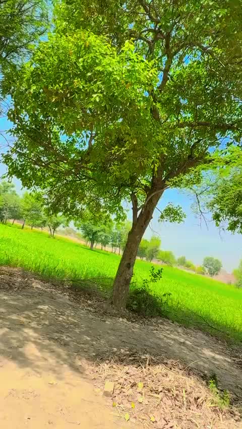 @رائے مجاھد کھرل ✌😎SRG Ala🦁💪