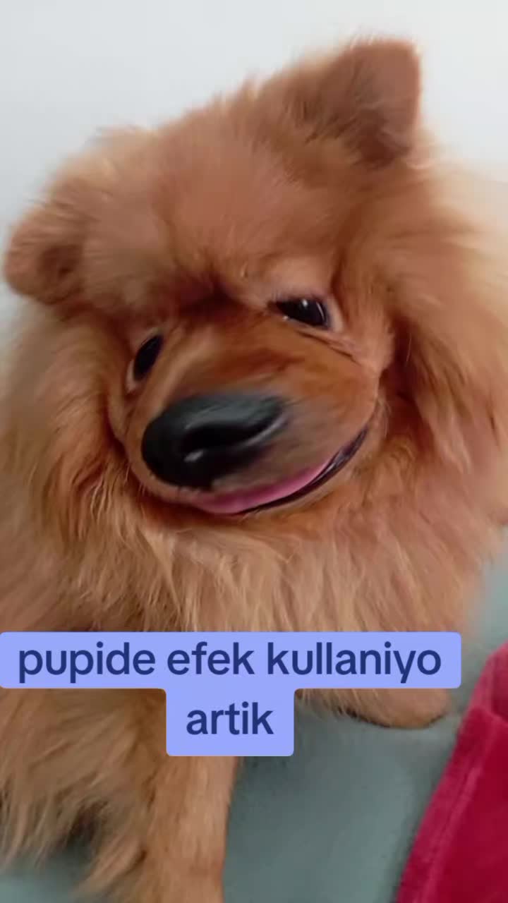 @🪬çiçek🪬