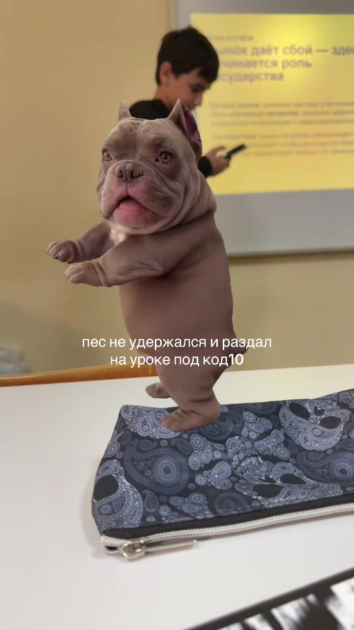 @Сентя Килаут