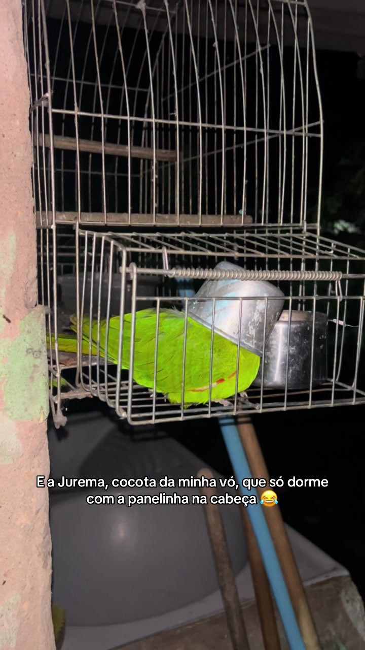 @Samanta Aline | Arquiteta