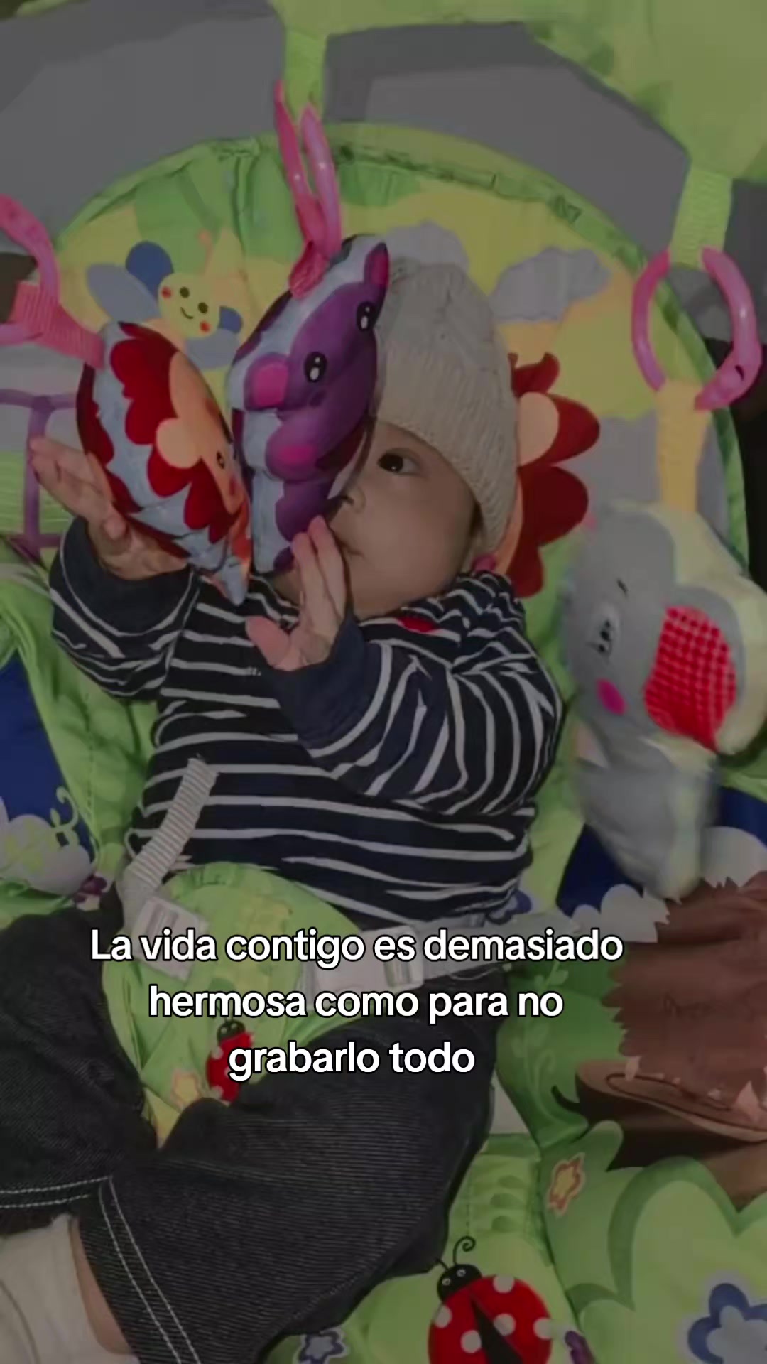 @🦋Majo 🐢