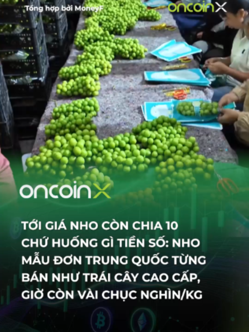 @Oncoin X