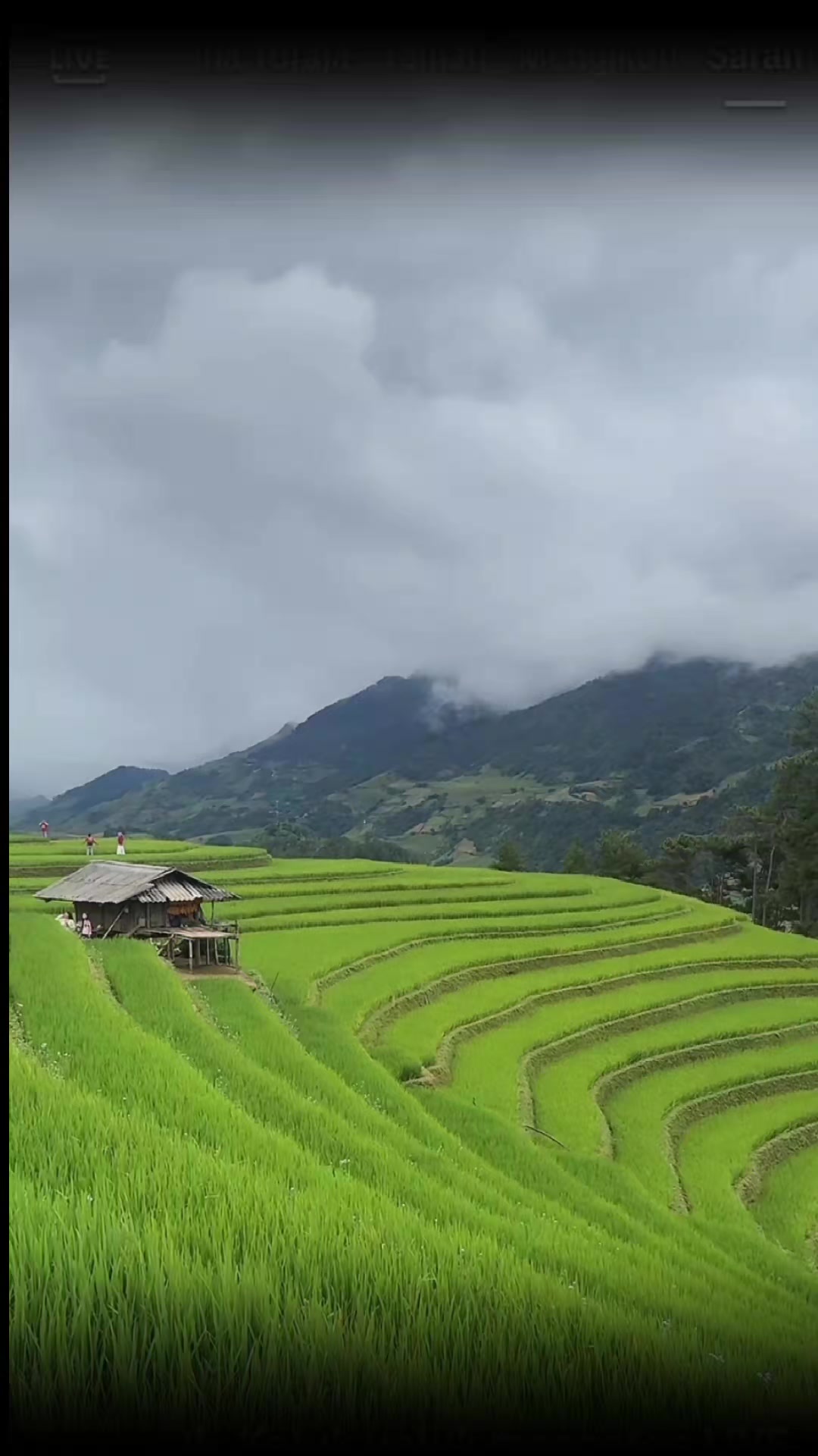 @muallaf_toraja