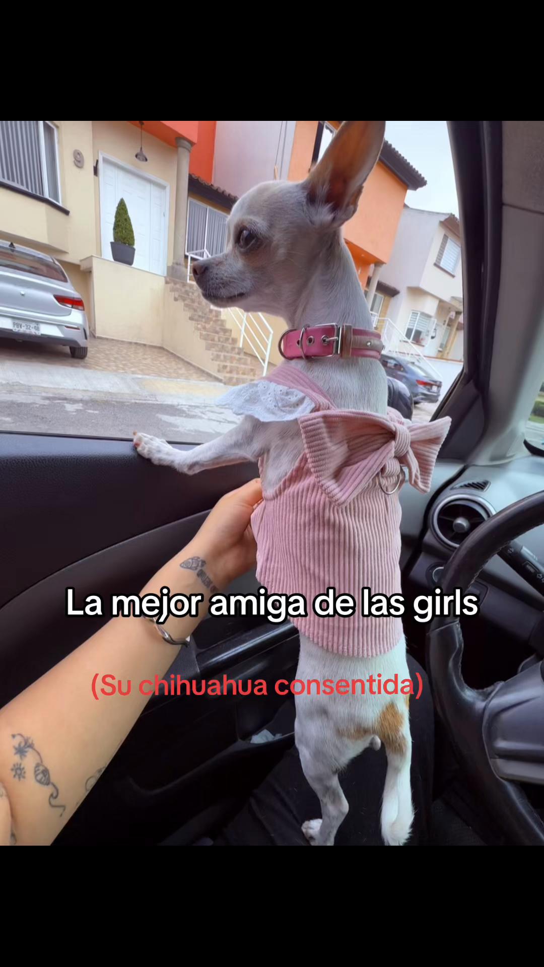 @Nai🫧