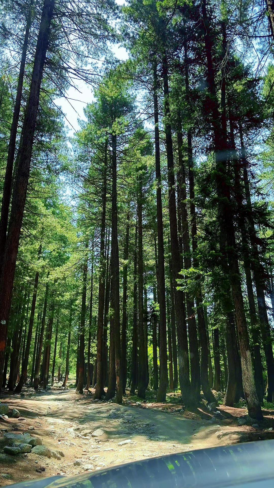 @travelwithbilal