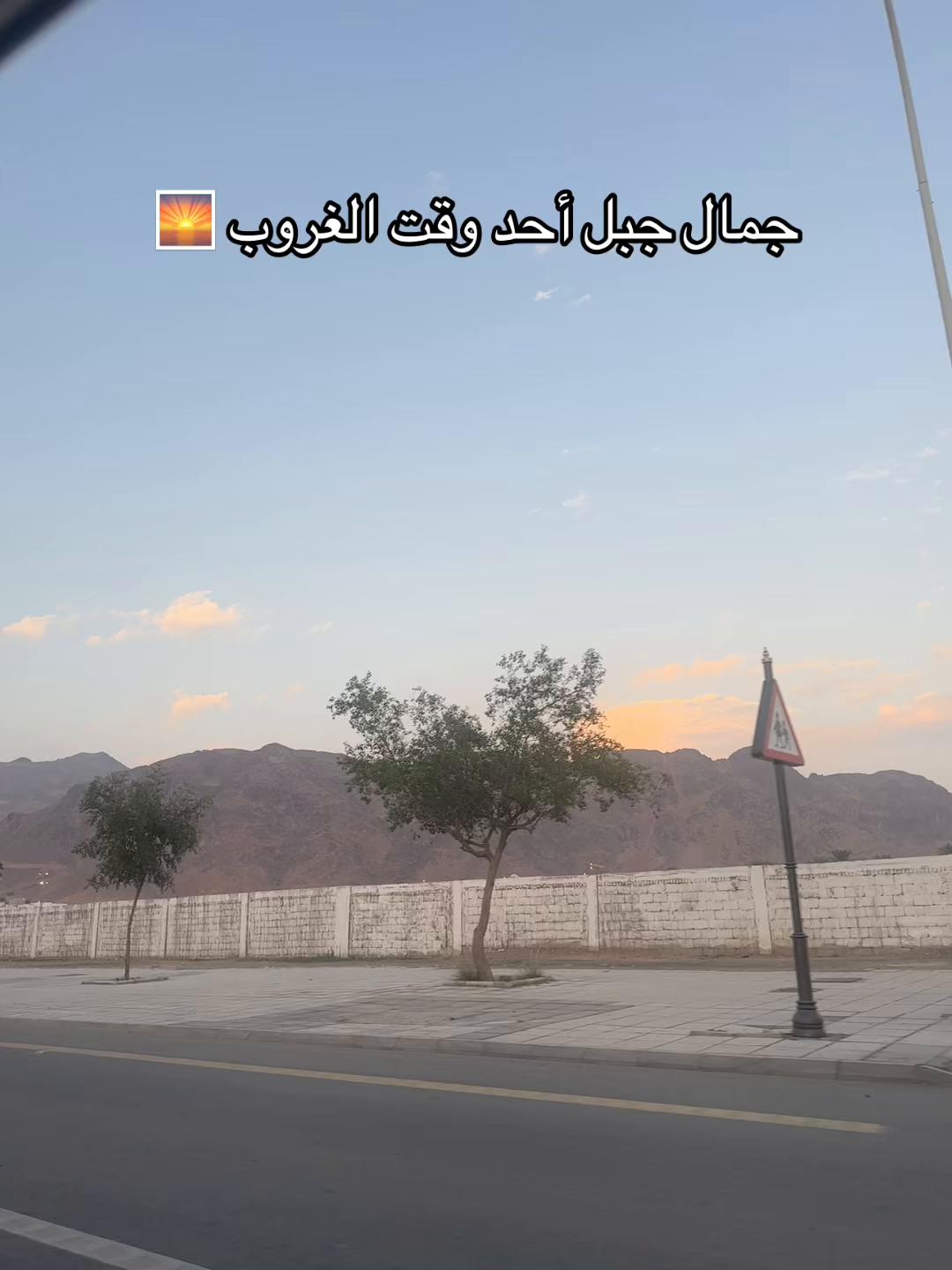 @Ghada Mansour