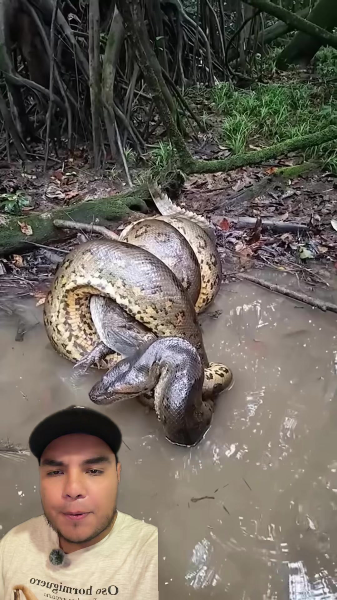 @Jair Herrera 🐆