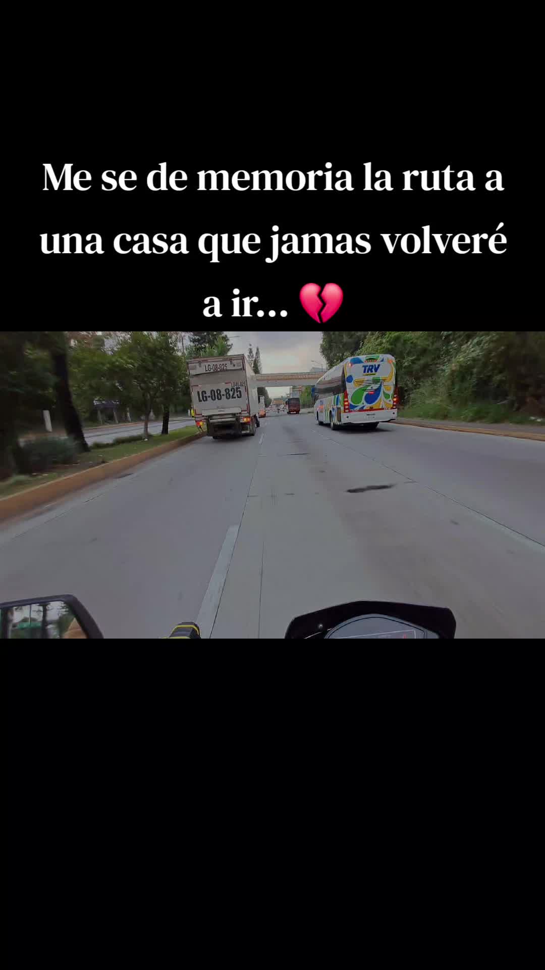 @puni_sher_1