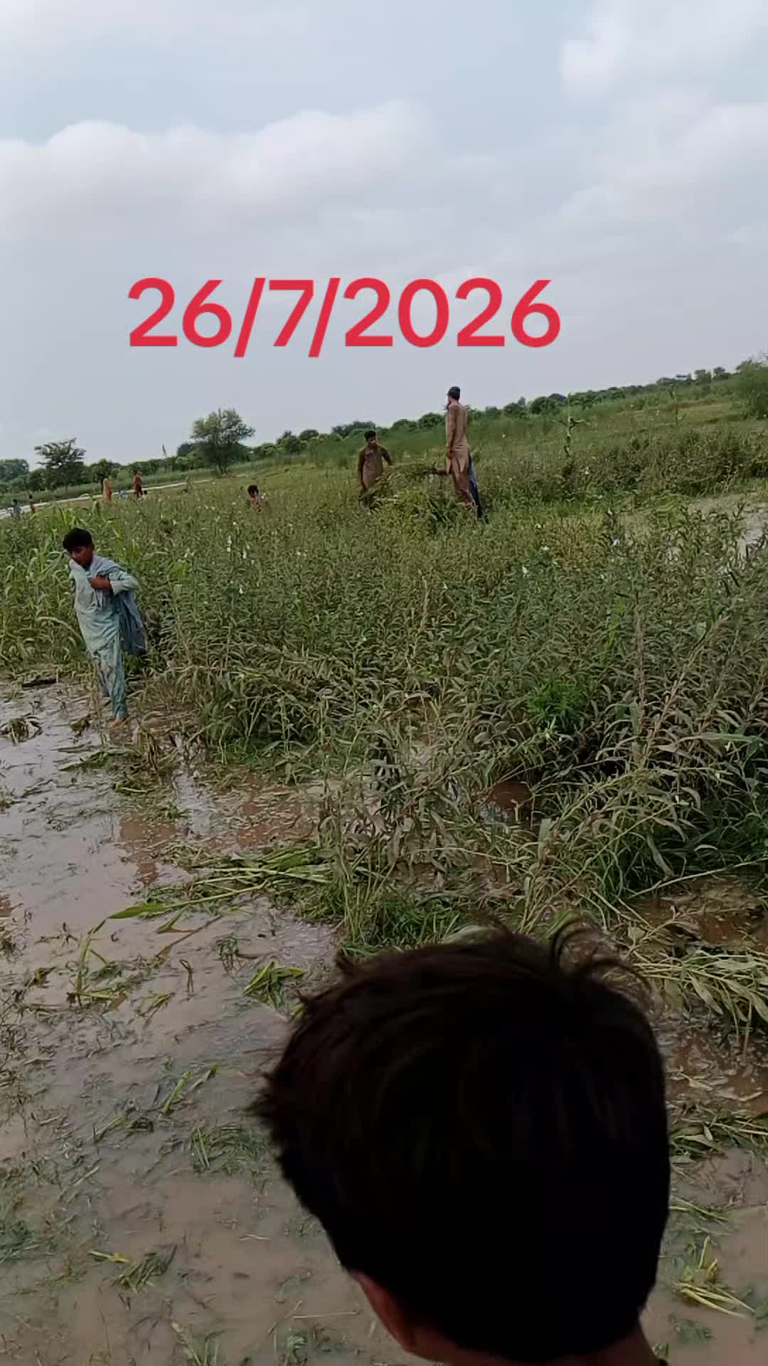 @tiktok.com/@falakshar3244