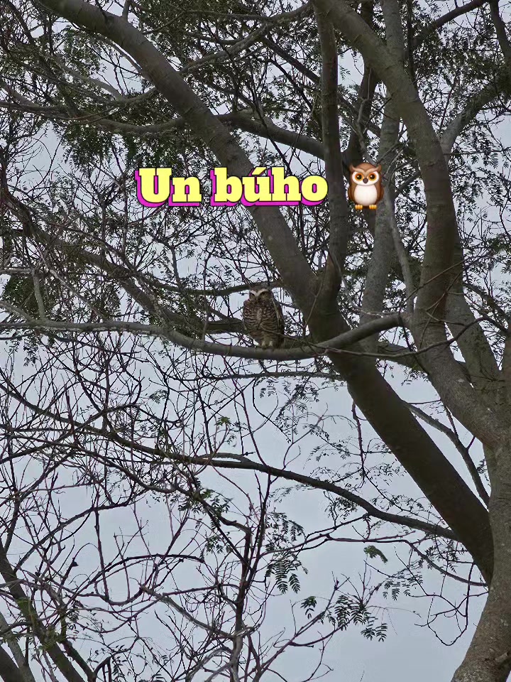@Claudia Camacho